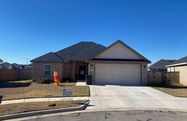 233 Audra Circle - 233 Audra Circle, Abilene, TX 79602