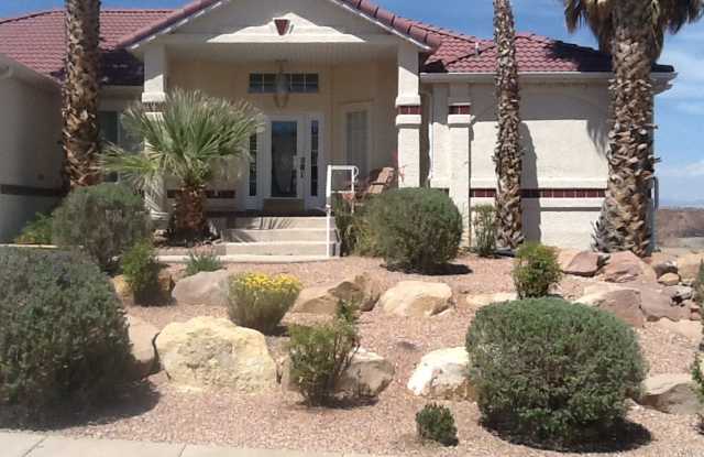 4B/3B Home - 682 Lava Point Dr