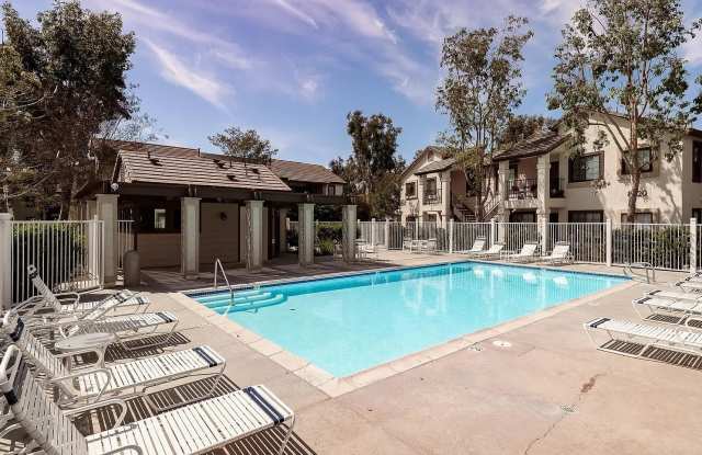 8520 Summerdale Rd Apt 51