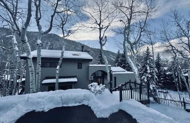 302 Roaring Fork Drive