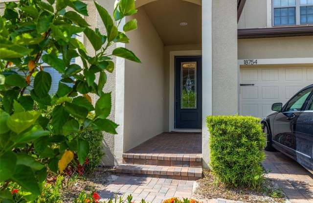 18754 BIRCHWOOD GROVES DRIVE