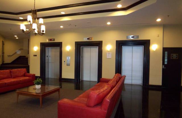 1001 N Randolph St Apt 516