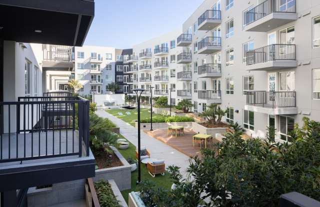 Felix at The Society