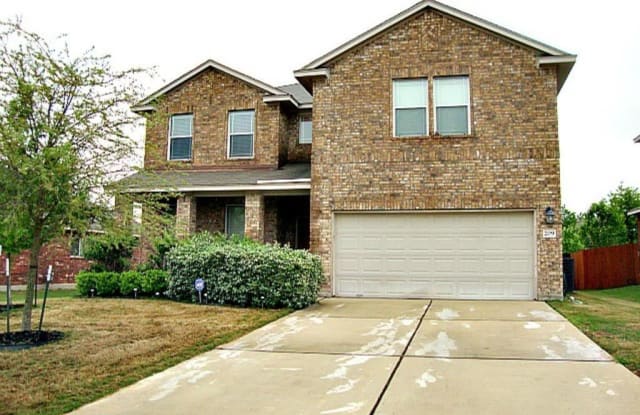 209 Buckingham Drive - 209 Buckingham Drive, Kyle, TX 78640