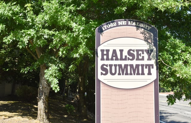 Photo of Halsey Summit