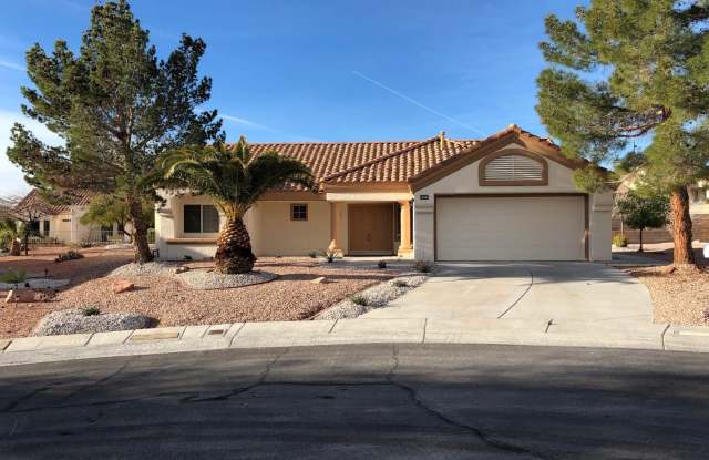 A Fabulous 2 Bedroom House in Sun City Summerlin Age Restricted 55+ community. photos photos