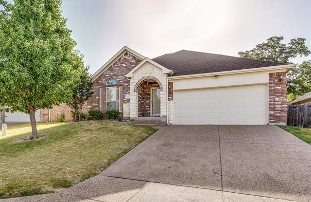 176 Overland Trail - 176 Overland Trail, Willow Park, TX 76087