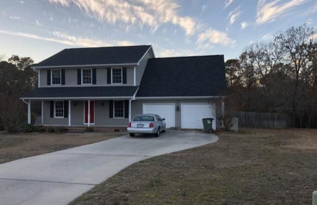 416 HUSHPUPPY CT - 416 Hushpuppy Court, Cumberland County, NC 28311