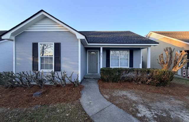 Photo of 3 Bedroom/2 Bath Home in Remerton