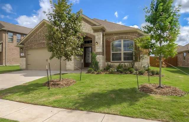 221 Churchill Drive - 221 Churchill Drive, Fate, TX 75189