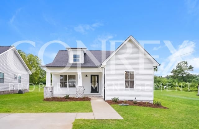 390 Baldwin Lane - 390 Baldwin Ln, Springfield, TN 37172