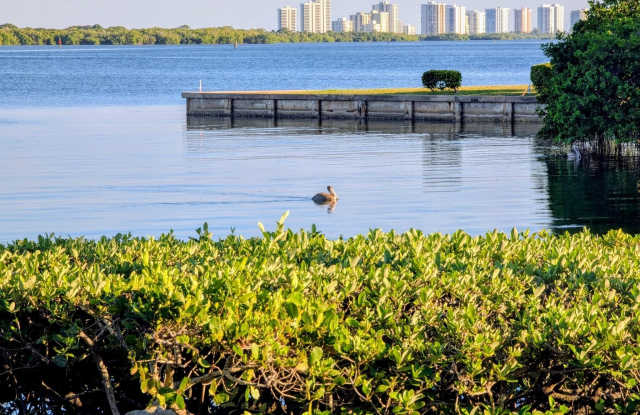 1640 Twelve Oaks Way