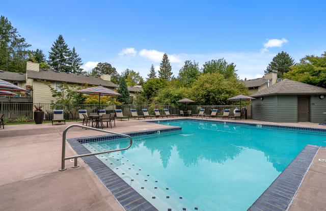 Photo of Terra at Hazel Dell