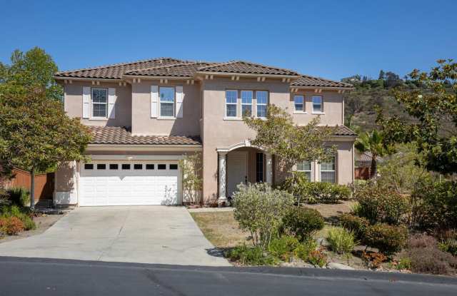 Luxury San Marcos Retreat with Private Backyard Oasis!