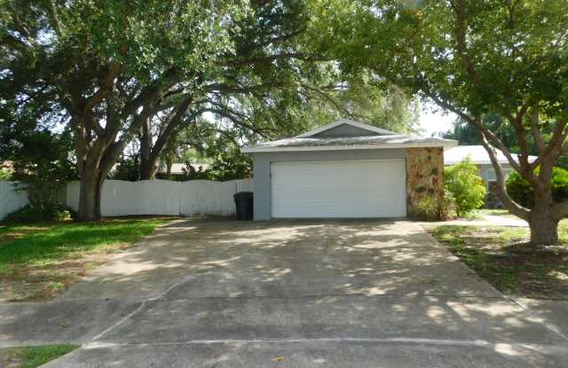 1019 Vineyard Ct - 1019 Vineyard Court, Dunedin, FL 34698