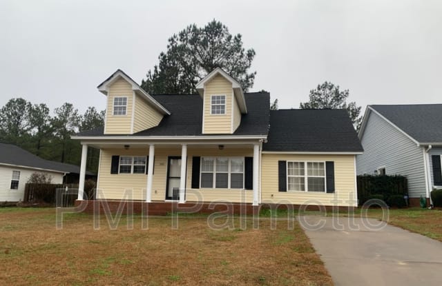 541 Old Bush River Rd - 541 Old Bush River Road, Lexington County, SC 29036