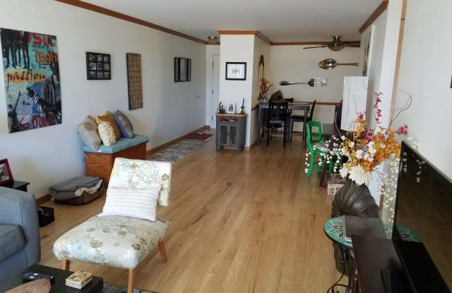 Beautiful one bedroom condo near DU
