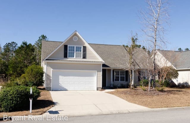 119 Watersfield Road - 119 Watersfield Rd, Leland, NC 28451