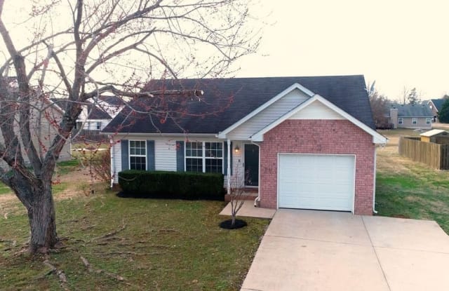 3161 Holsted Dr - 3161 Holstead Drive, Murfreesboro, TN 37128