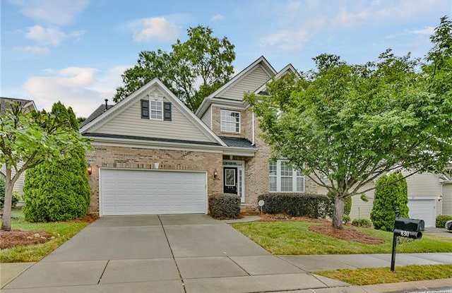 830 Platinum Drive - 830 Platinum Drive, York County, SC 29708