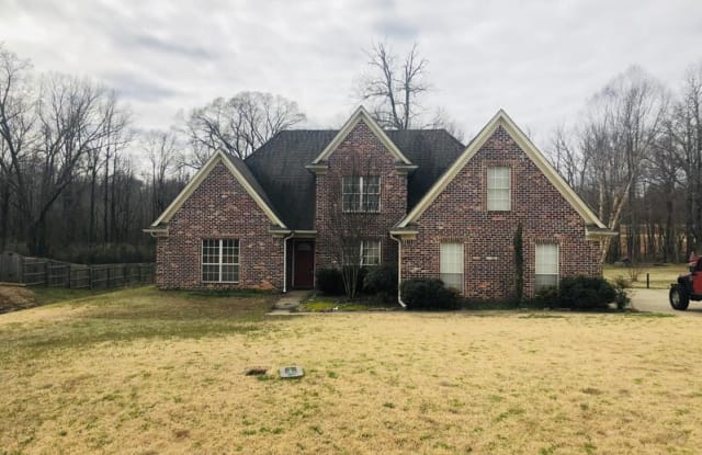 10037 Cypress Plantation Dr., - 10037 Cypress Plantation Drive, DeSoto County, MS 38654