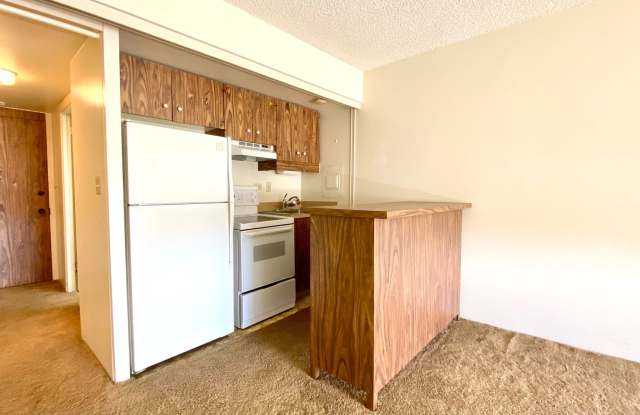AVAILABLE NOW! STUDIO WITH 1 PARKING IN MAKIKI