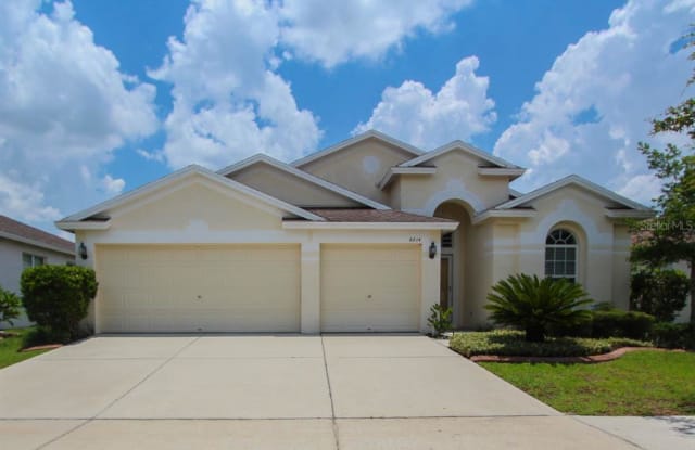 6014 MARTINGLADE PLACE - 6014 Martinglade Place, Fish Hawk, FL 33547