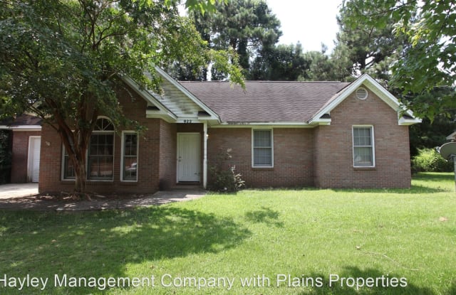 922 Annalue Drive - 922 Annalue Drive, Auburn, AL 36830