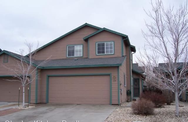 1714 Duke Road - 1714 Duke Road, Carson City, NV 89701