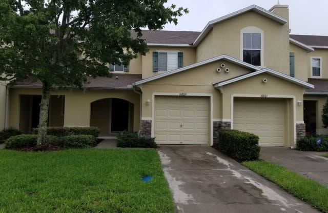 10809 Johanna Ave - 10809 Johanna Avenue, Riverview, FL 33578