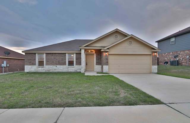 4 bedroom beauty in Goodnight Ranch!