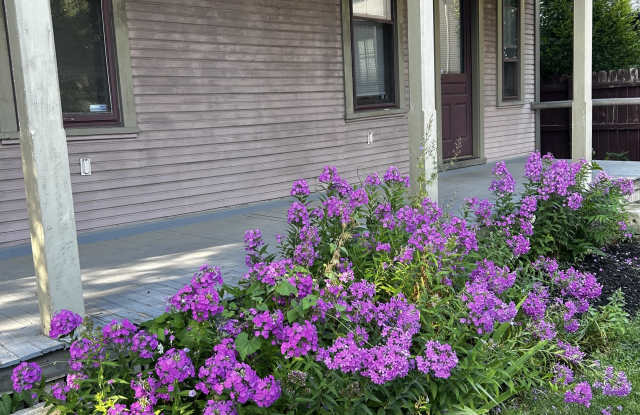 153 Punta Alley