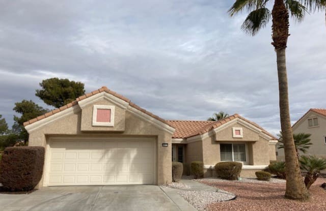 8912 Desert Mound Drive - 8912 Desert Mound Drive, Las Vegas, NV 89134