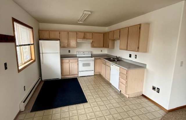 2 Bedrooms 1 Bathroom - 4 Plex - Belgrade