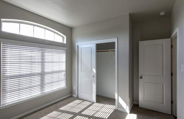 7019 Tanglehead Drive