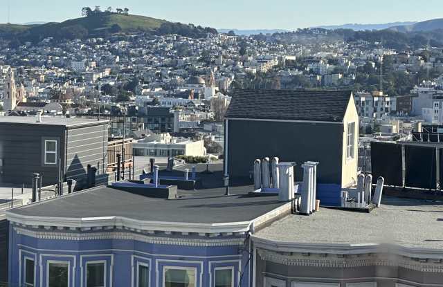 507 Steiner Street