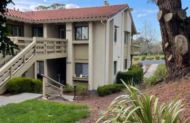 8102 Cabernet CT