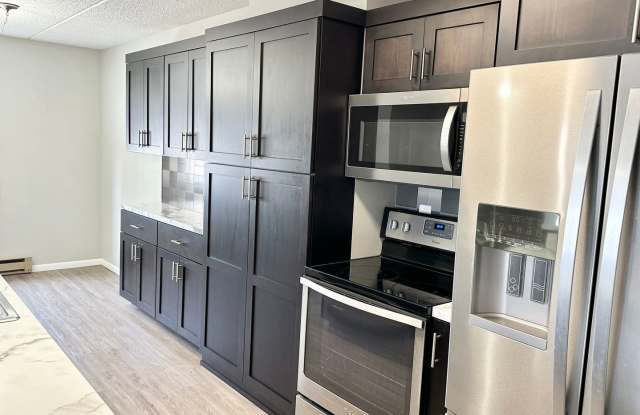 2 Bedroom Downtown Condo - Available May 1st