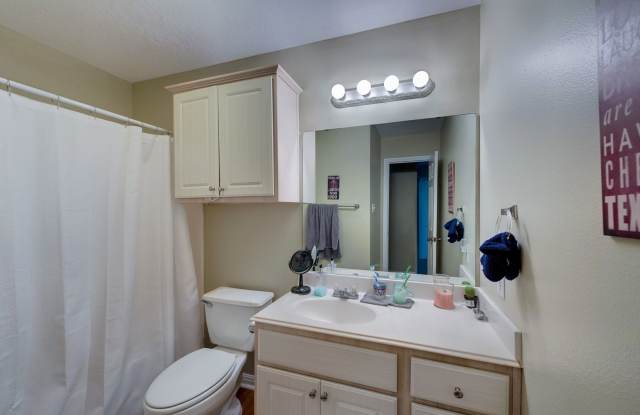 3 Bed, 3 Bath with Garage Close to Campus - The Veranda