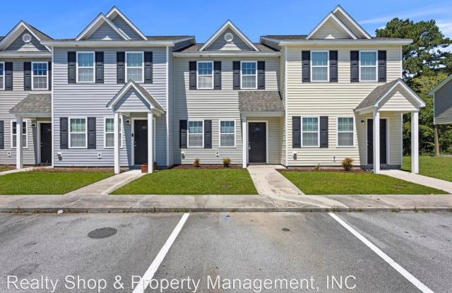 113 Virginia's Landing Court - 113 Virginias Landing Ct, Richlands, NC 28574