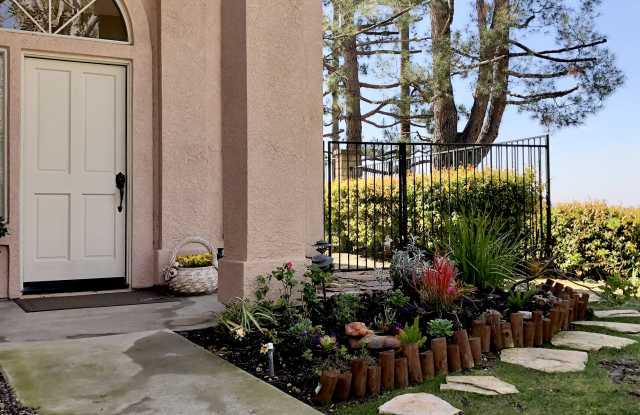 2356 Calle Petula
