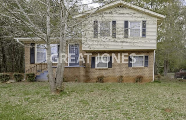 146 Harmony Drive - 146 Harmony Drive, Saxon, SC 29301