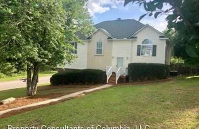 1 Beech Branch Court - 1 Beech Branch Ct, Richland County, SC 29063