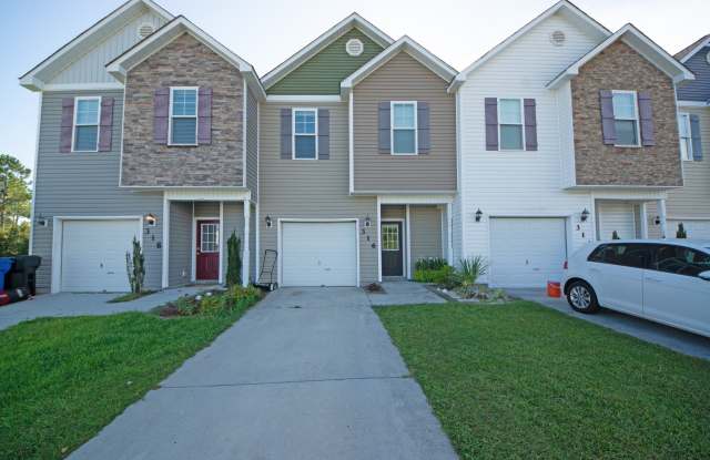 316 Cedar Island Trail - 1