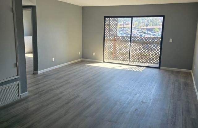 Large 1 Bed 1 Bath Condo