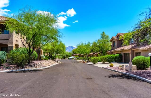 695 W Vistoso Highlands Drive