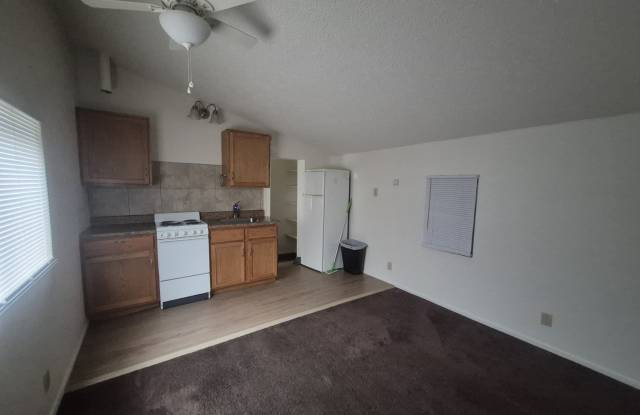 828 1/2 East Cache La Poudre Street