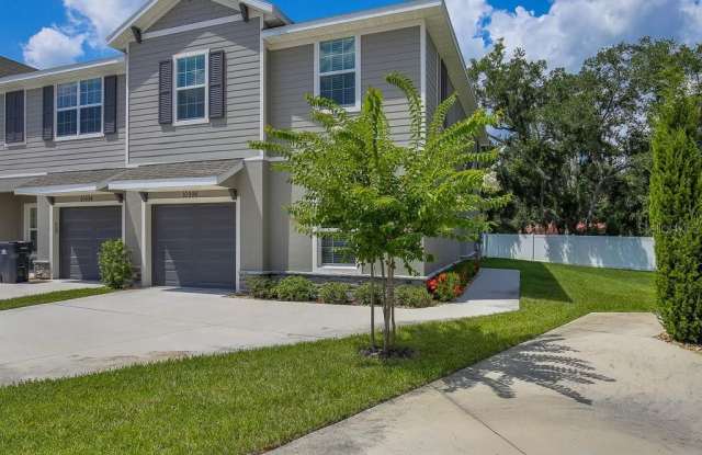 10996 BRIGHTLEAF COURT