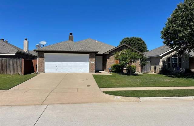 219 Sardius Boulevard - 219 Sardius Boulevard, Granbury, TX 76049