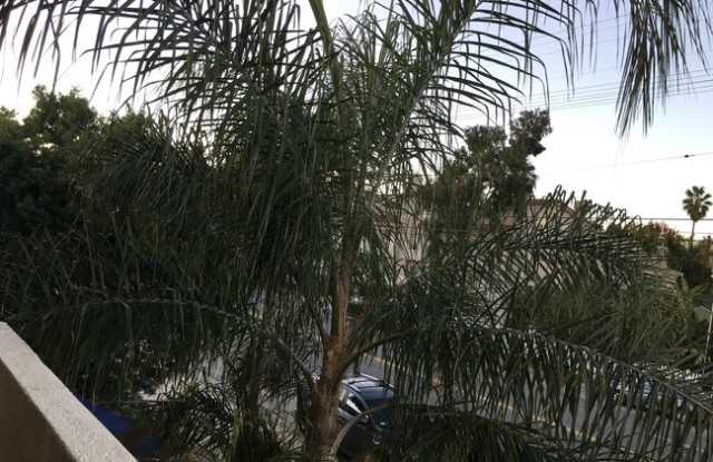 14718 Magnolia Boulevard